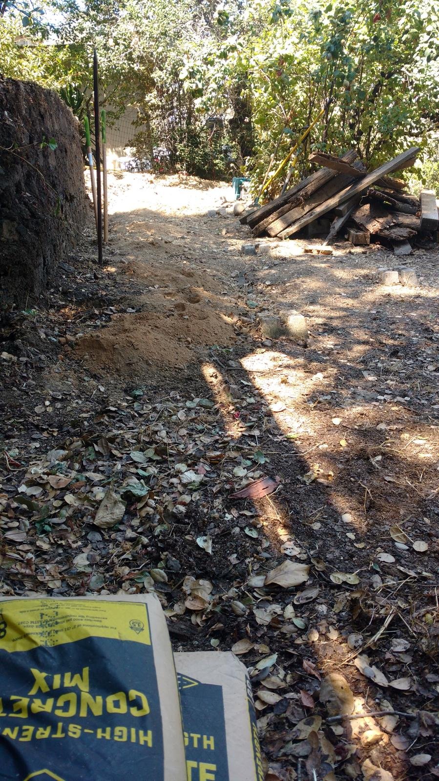 WhatsApp Image 2026-02-01 at 10.24.17 AM