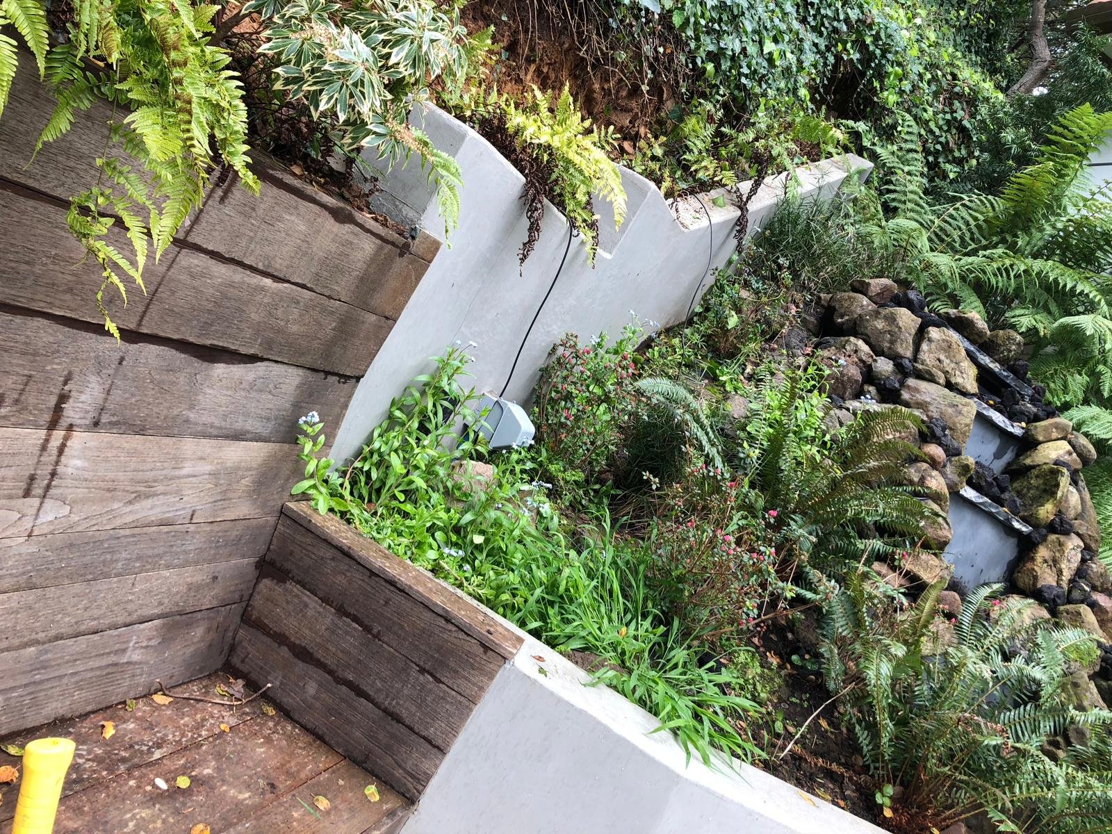 WhatsApp Image 2026-02-01 at 10.27.22 AM