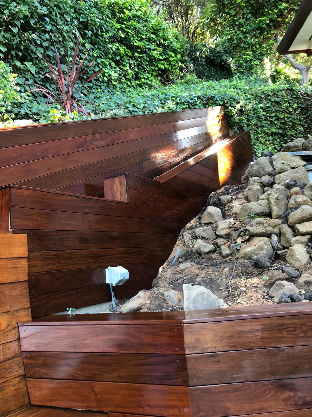 WhatsApp Image 2026-02-01 at 10.28.26 AM